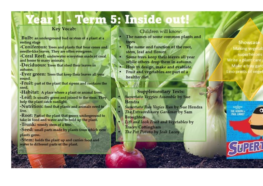 Year 1 term 5 3