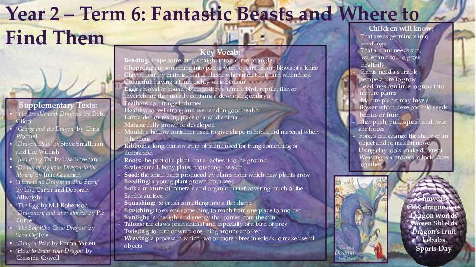 Year 2 term 6