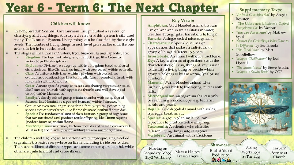 Year 6 term 6